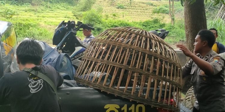 Polres Mojokerto Tindaklanjuti Jumat Curhat, Judi Sabung Ayam Meresahkan Warga