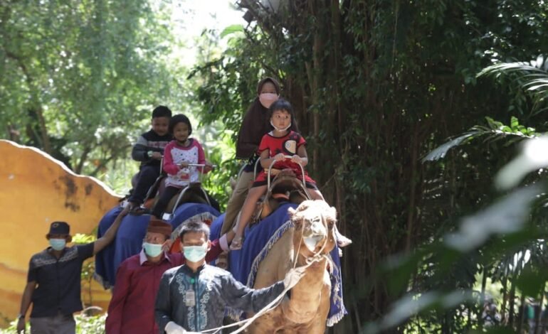 kebun