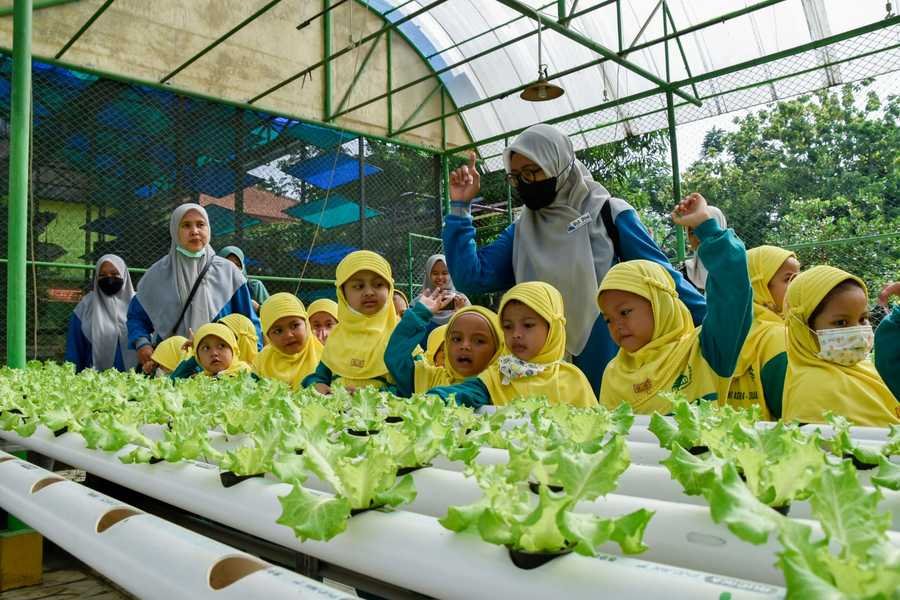 Destinasi Favorit Mini Agrowisata DKPP