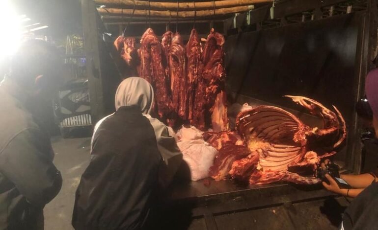 Pemkot Surabaya Putar Balik Kendaraan Pengangkut Daging Tanpa Surat Resmi