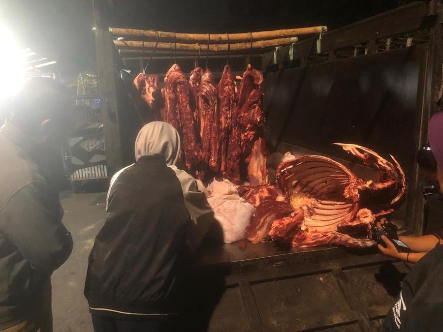 Pemkot Surabaya Putar Balik Kendaraan Pengangkut Daging Tanpa Surat Resmi